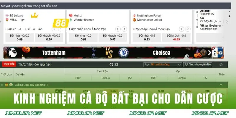 Kinh nghiệm cá độ bất bại cho dân cược